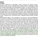 REPORT ON SYSTEMIC IMPUNITY IN THE CASE OF EYÜP BİRİNCİ 9 Witness testimony