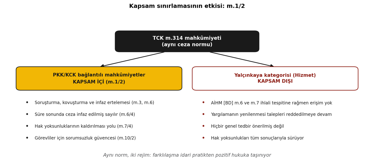 Aynı TCK 314 normu altında kapsam içi ve kapsam dışı kategorilerin karşılaştırması